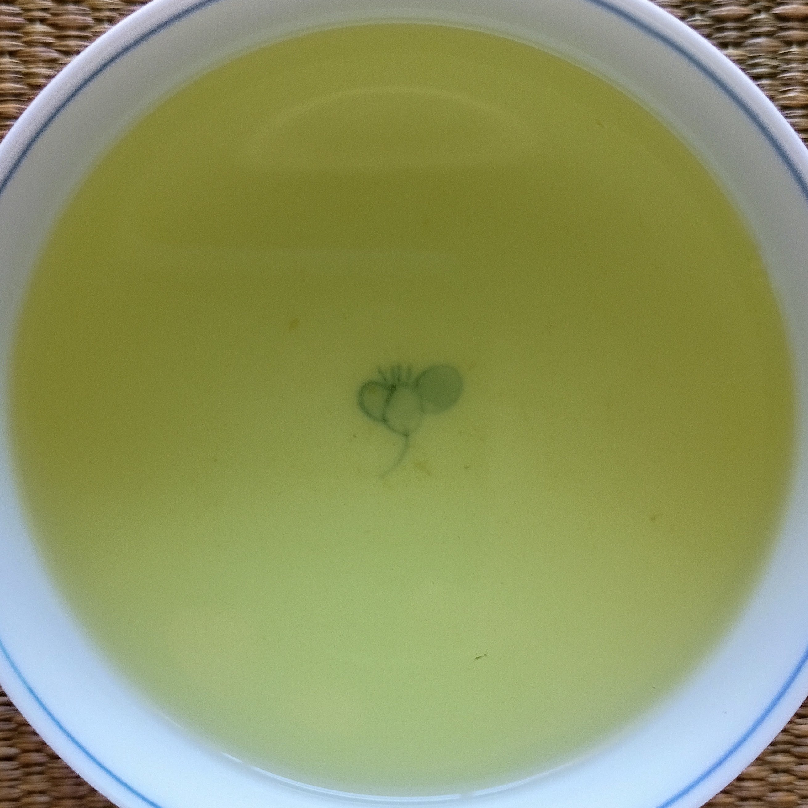 NEW 2026 First Harvest Genmaicha (Sencha & Roasted Brown Rice) from Fujieda, Shizuoka; Naturally Grown, 50g