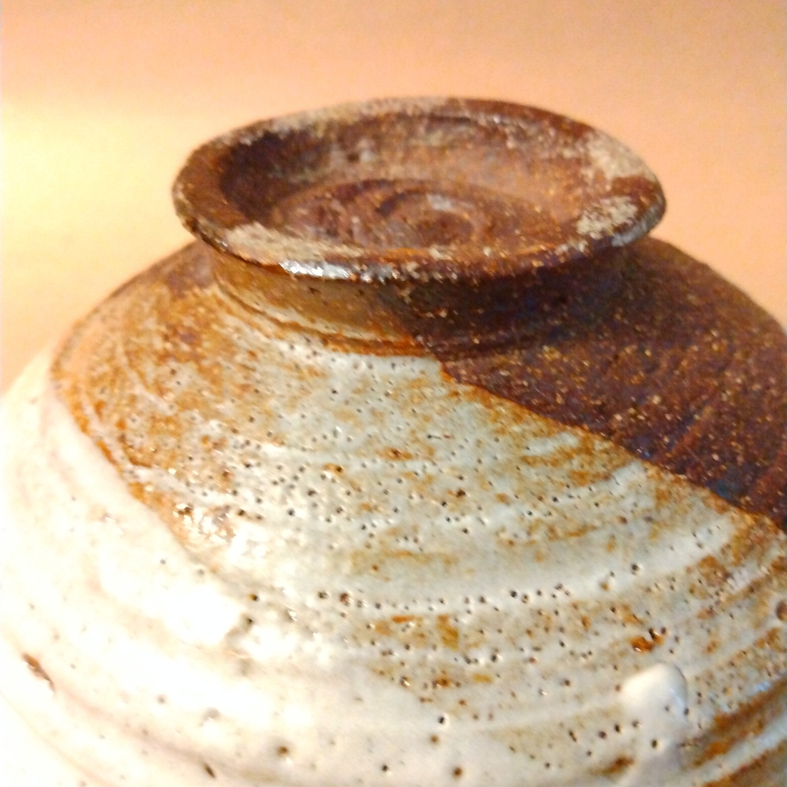 Wood-fired Shino Glaze Bowl, by George Gledhill