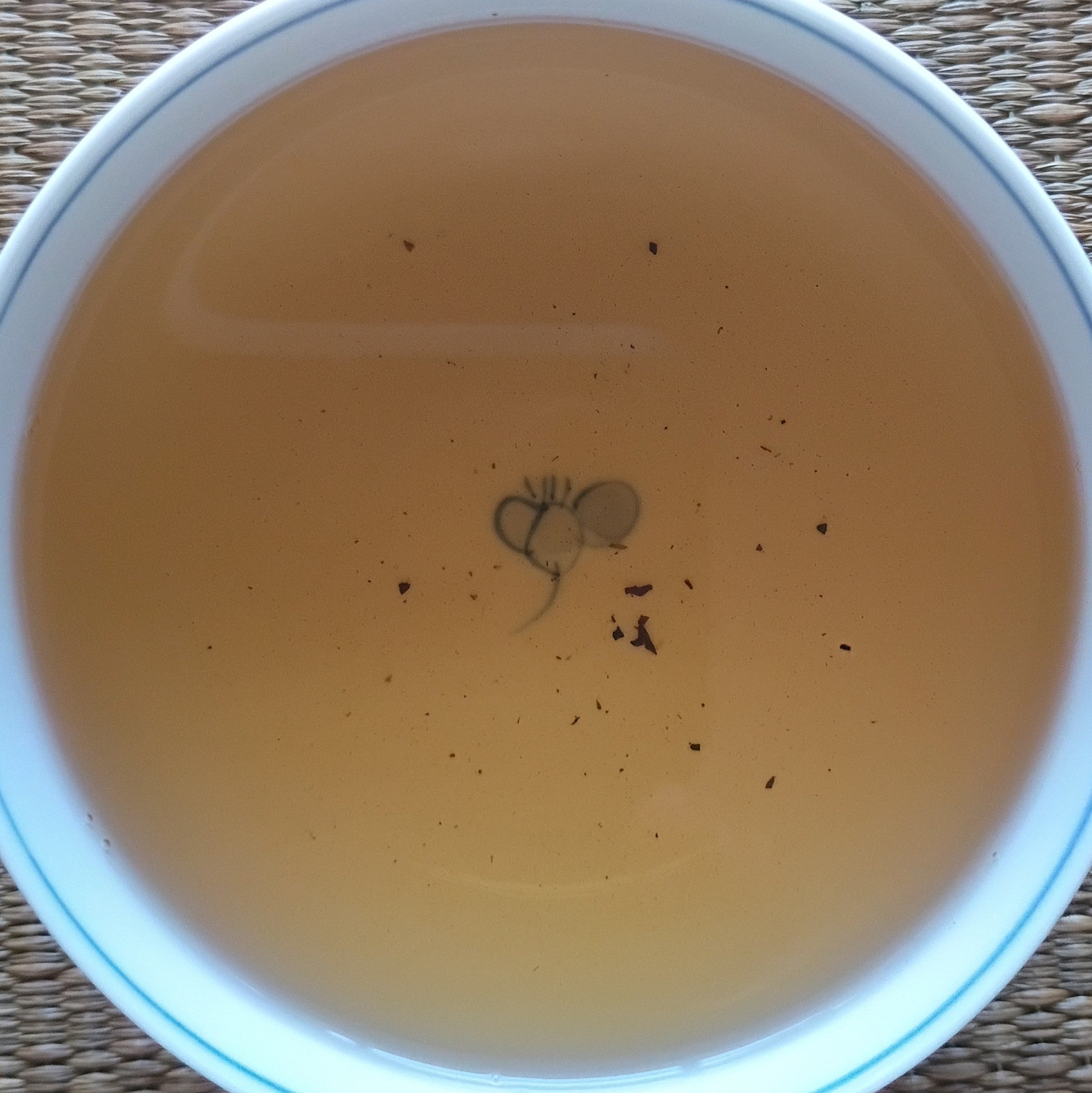 NEW 2026 Spring Harvest Premium Houjicha; Fujieda, Shizuoka, 50g. Naturally Grown