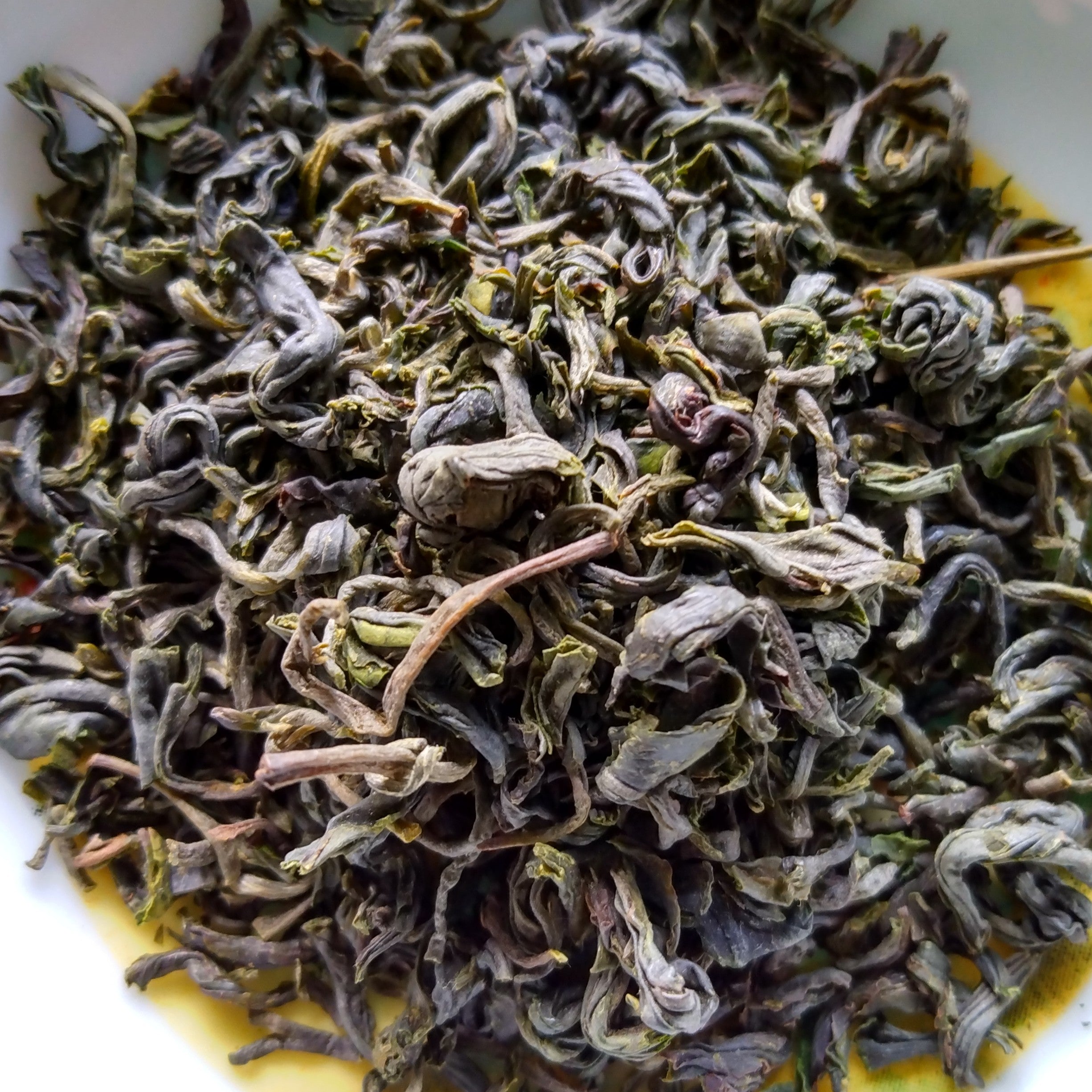 Hand-Picked Kouju Japanese Oolong; Honyama, Shizuoka, 50g - 2024 1st Harvest