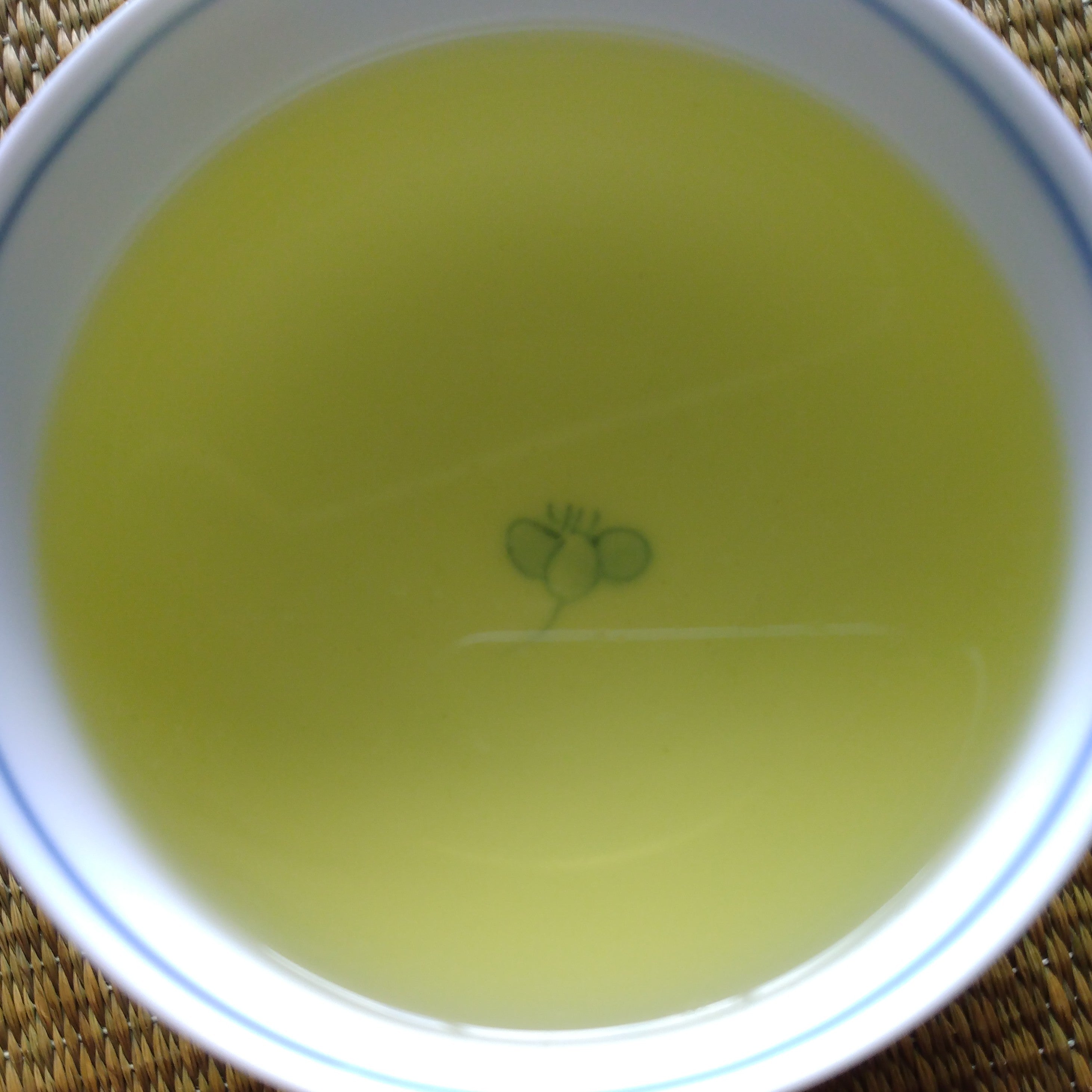 NEW Hand-picked Nakaisamurai Sencha, Kakishita no Ocha; Tenryu Village, Nagano Prefecture, 30g, Naturally Grown. 2025 SHINCHA