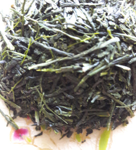 Organic Asatsuyu Fukamushi Sencha; Kirishima, Kagoshima, 50g - 2023 1st Harvest