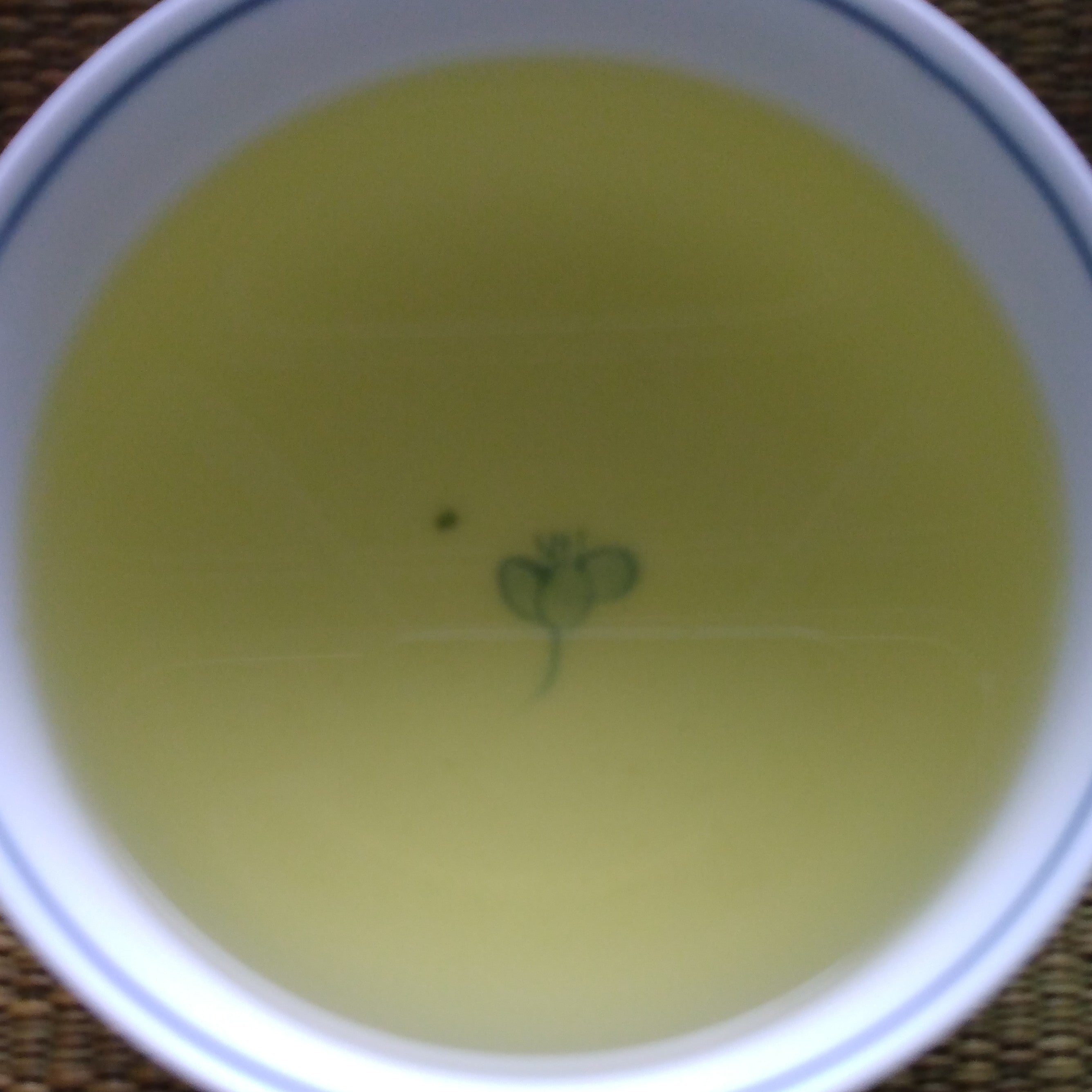 Meiryoku Organic Sencha, Kagoshima, 50g - 2023 1st Harvest