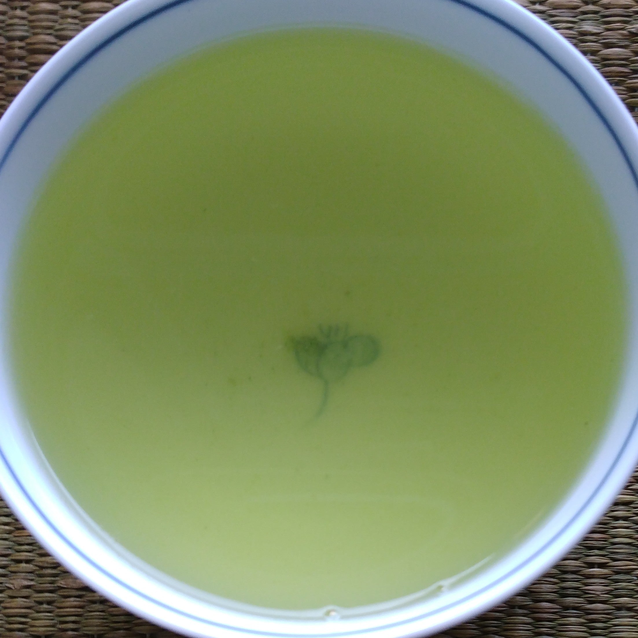 Organic Okumidori Kabuse Sencha; Kirishima, Kagoshima. 2023 1st Harvest