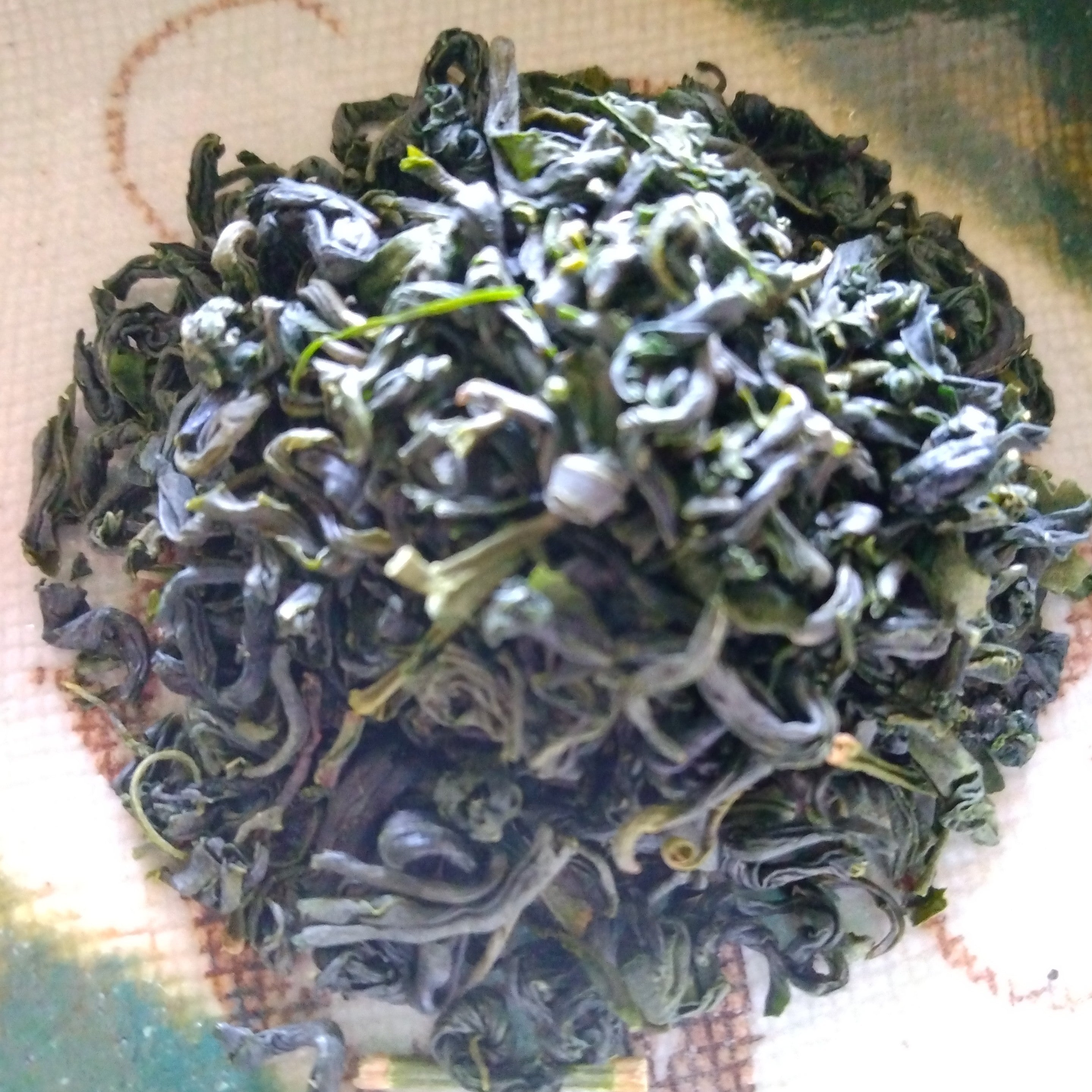 NEW Saemidori Tamaryoku Sencha; Hioki, Kagoshima Prefecture, 50g. Naturally grown. - 2025 SHINCHA