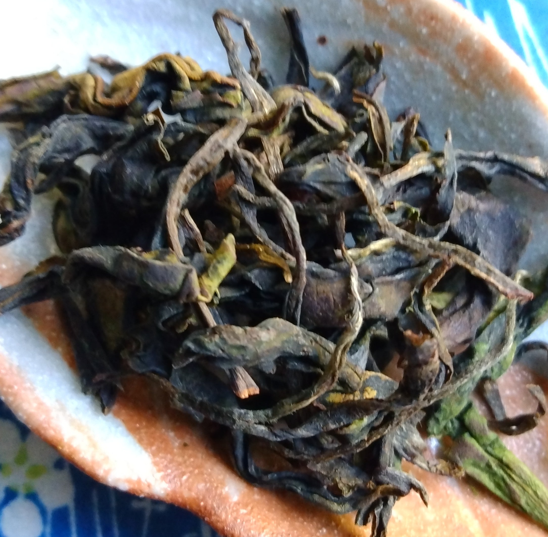 NEW Sashima Izumi WaKoucha (Japanese Black Tea)/Oolong; Nagano-en Tea Farm,  Sakai-machi, Ibaraki, 50g. 2025 1st Harvest, image size:2169x2127