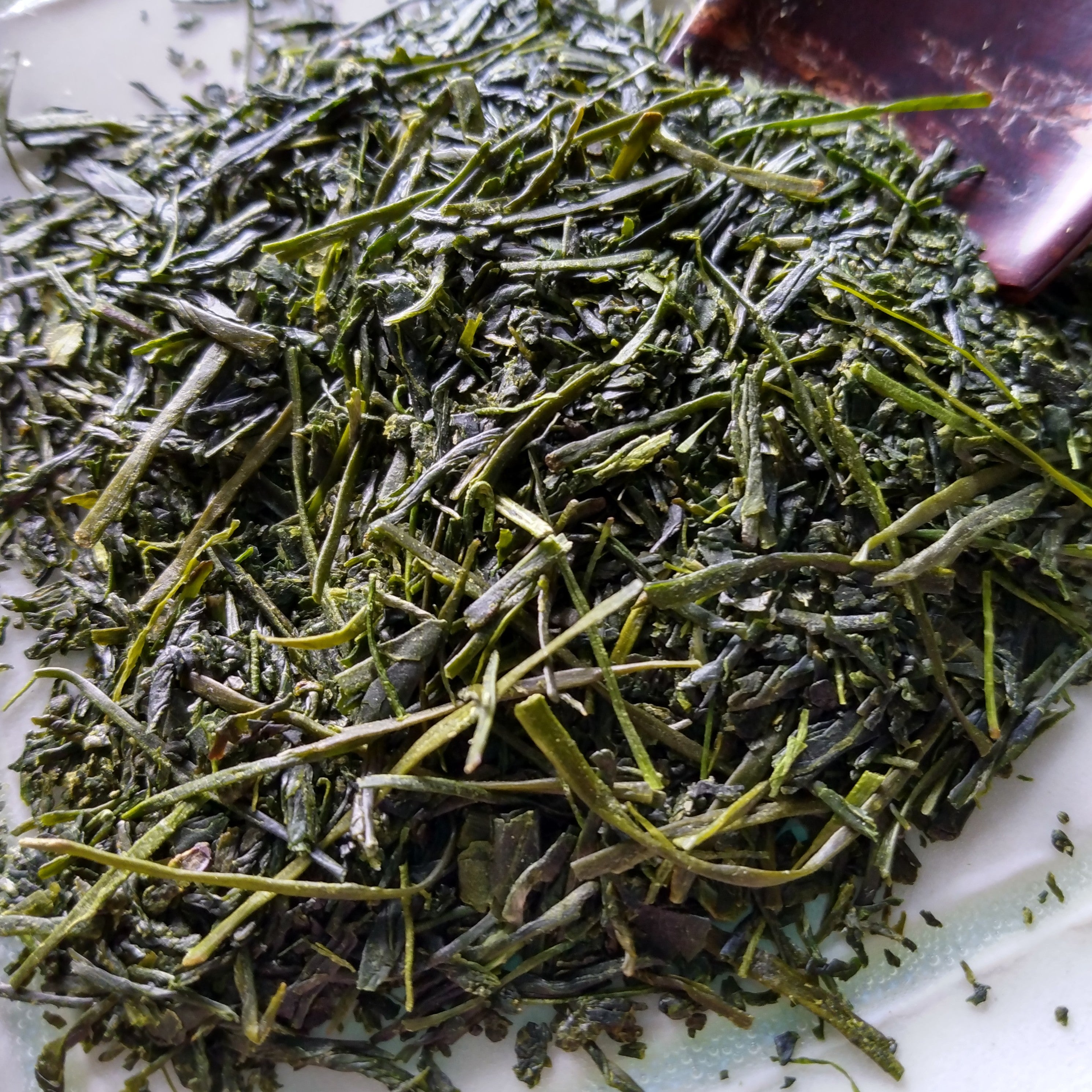 NEW Shirahagi Sencha, Sayamacha, Saitama Pref., 50g - 2025 SHINCHA