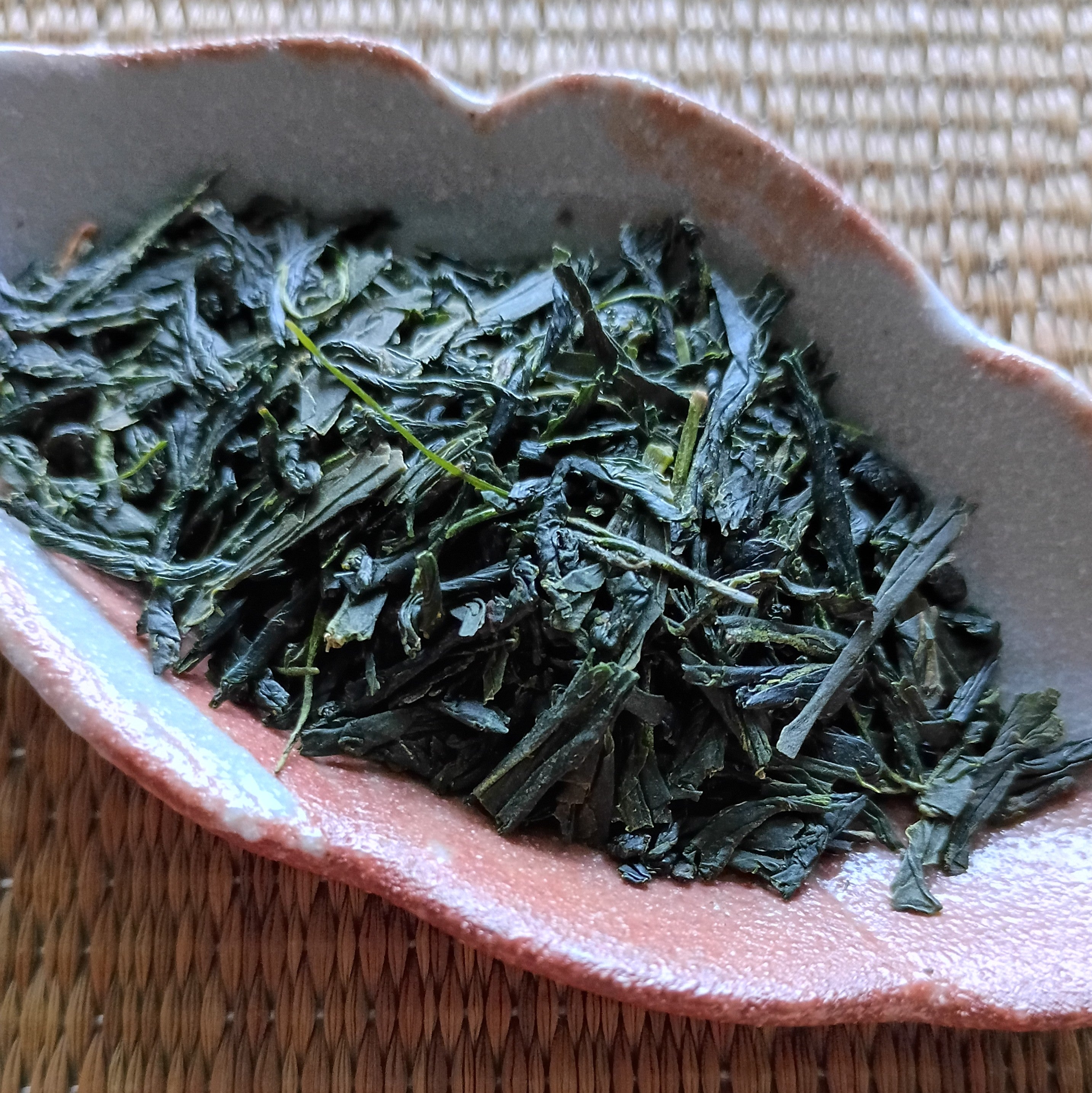 2026 SHINCHA - Tosa-cha Sencha; Nyugauchi, Kochi Prefecture, Shikoku. 50g. Naturally Grown.