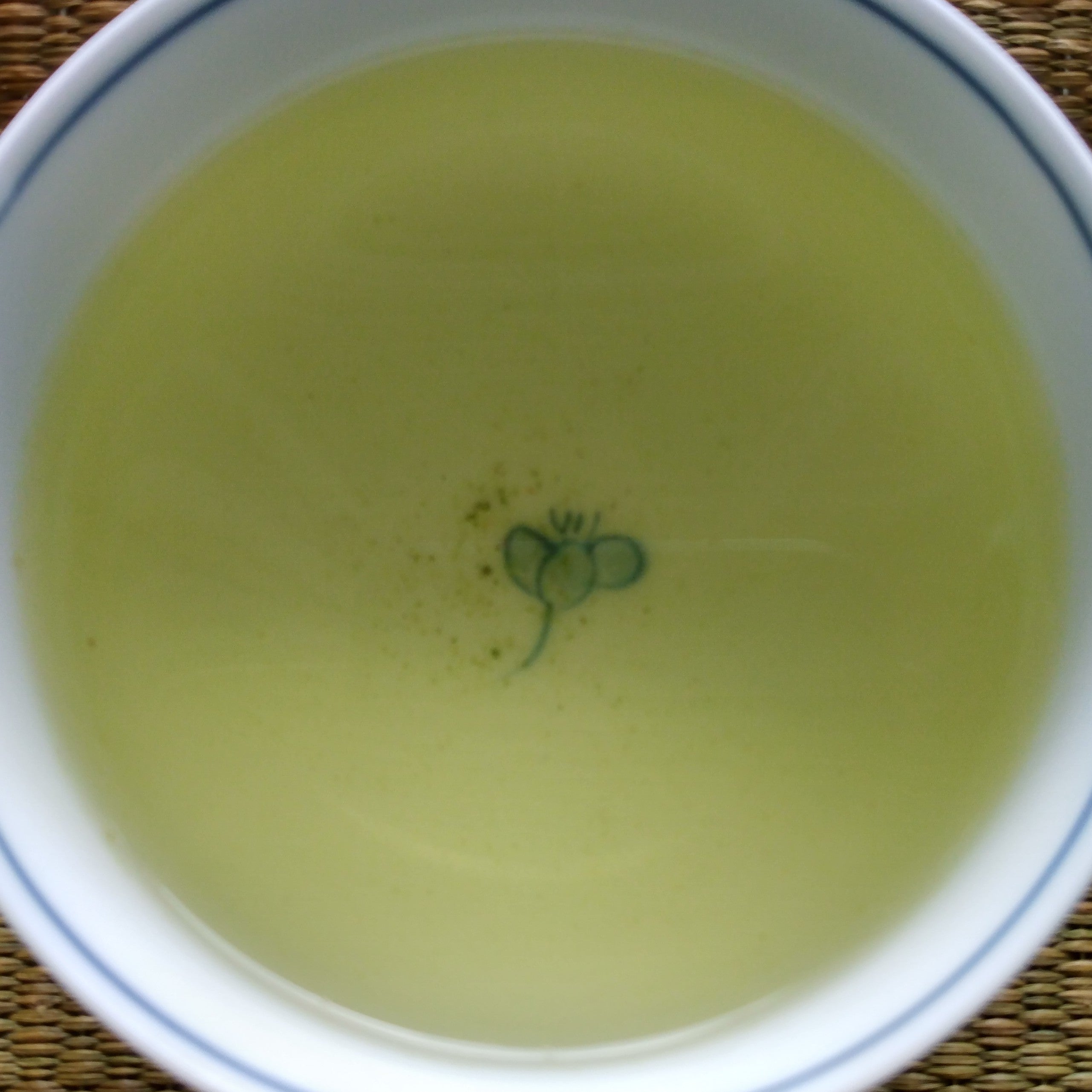 Tosa-cha Sencha; Nyugauchi, Kochi Prefecture, Shikoku. 50g. Naturally Grown. 2025 SHINCHA