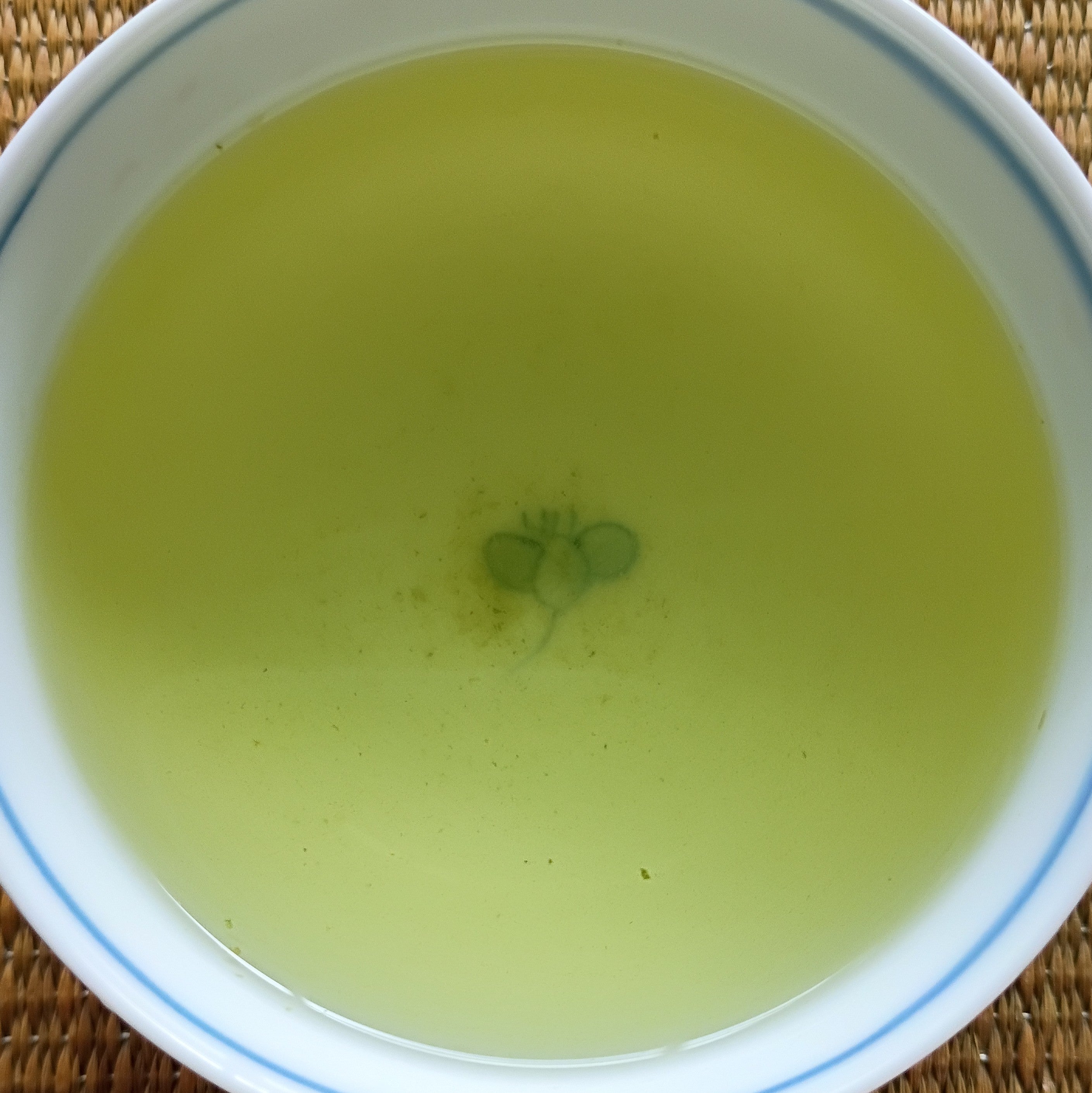 YAMAKAI, FUJIEDA, 3RD INFUSION