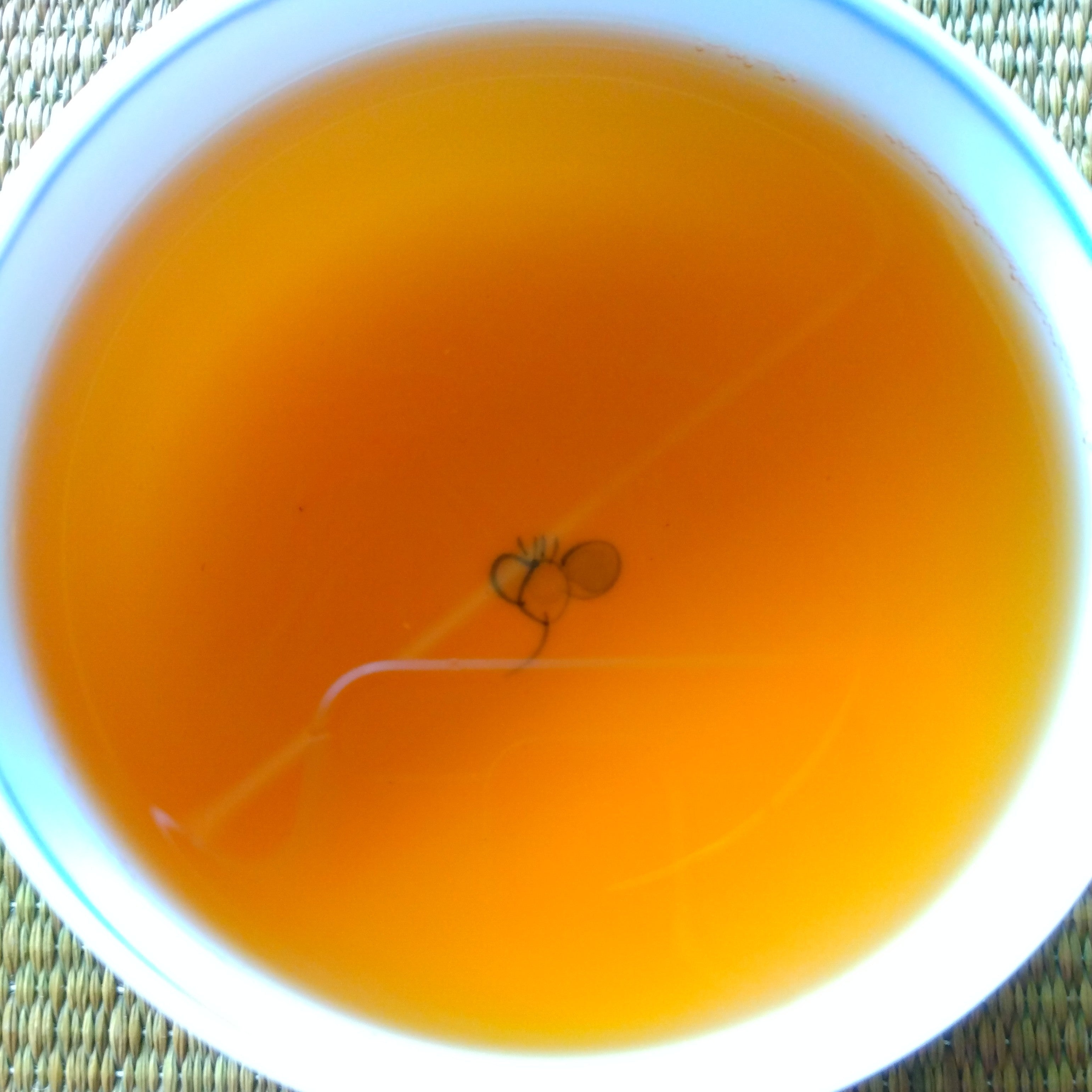 COMING SOON Goka-cha WaKoucha (Japanese Black Tea); Higashishirakawa, Gifu Prefecture. 50g. Naturally Grown. 2025 1st & 2nd Harvest Blend