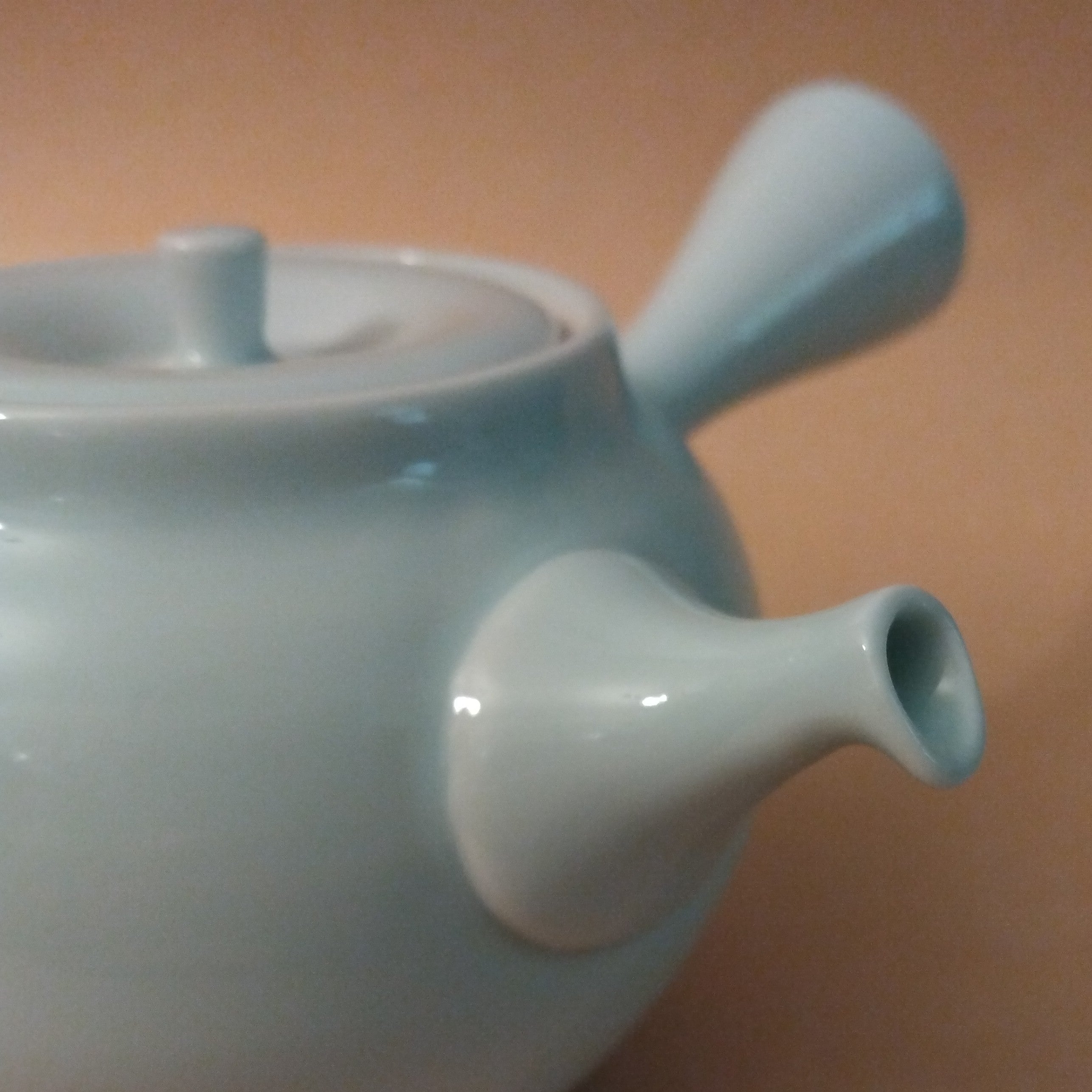 Light Blue Porcelain Hasami-yaki Kyusu (Side-handle Tea Pot) by Fukuhou Kiln, 270cc / 9.1oz.