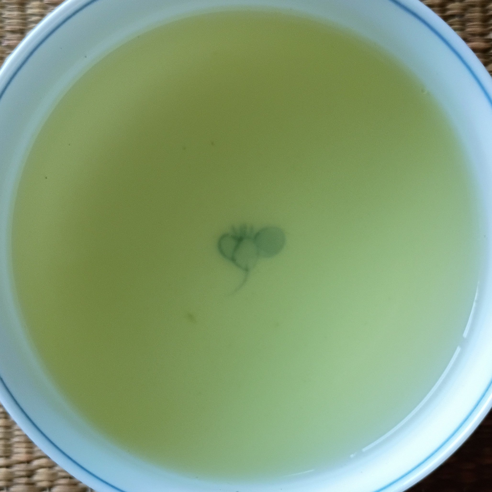 2026 SHINCHA Saemidori Gyokuro; Hioki, Kagoshima Prefecture, 50g. Naturally grown.