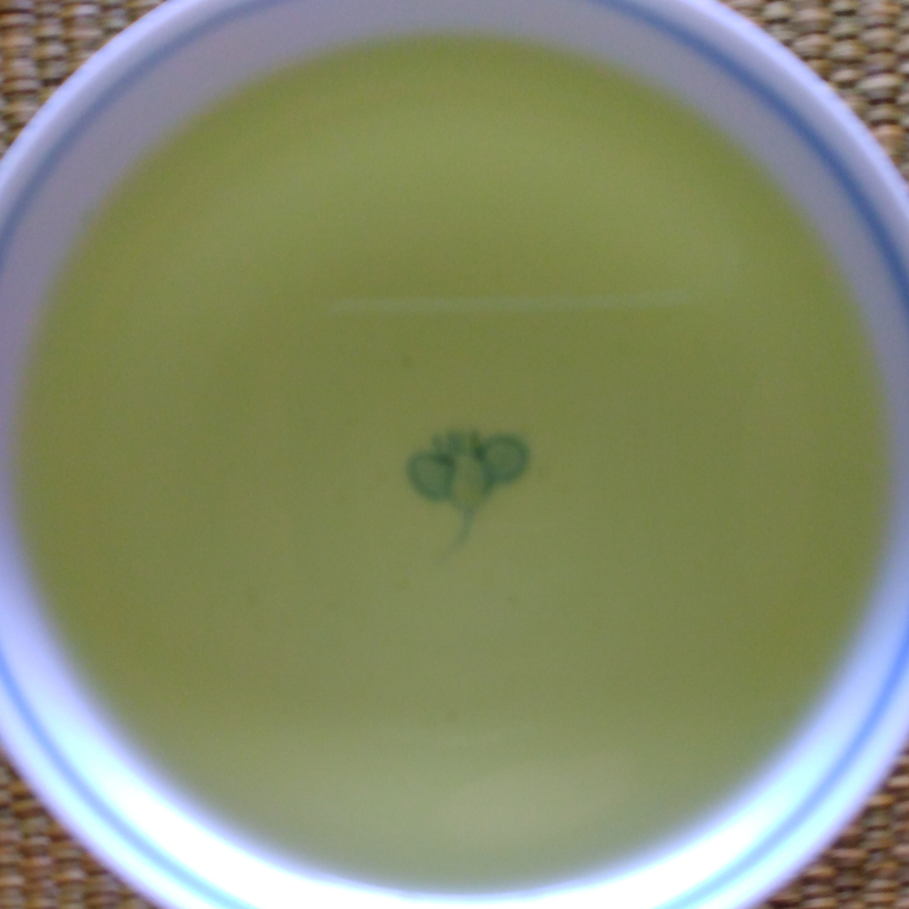 NEW Saemidori Tamaryoku Sencha; Hioki, Kagoshima Prefecture, 50g. Naturally grown. - 2025 SHINCHA