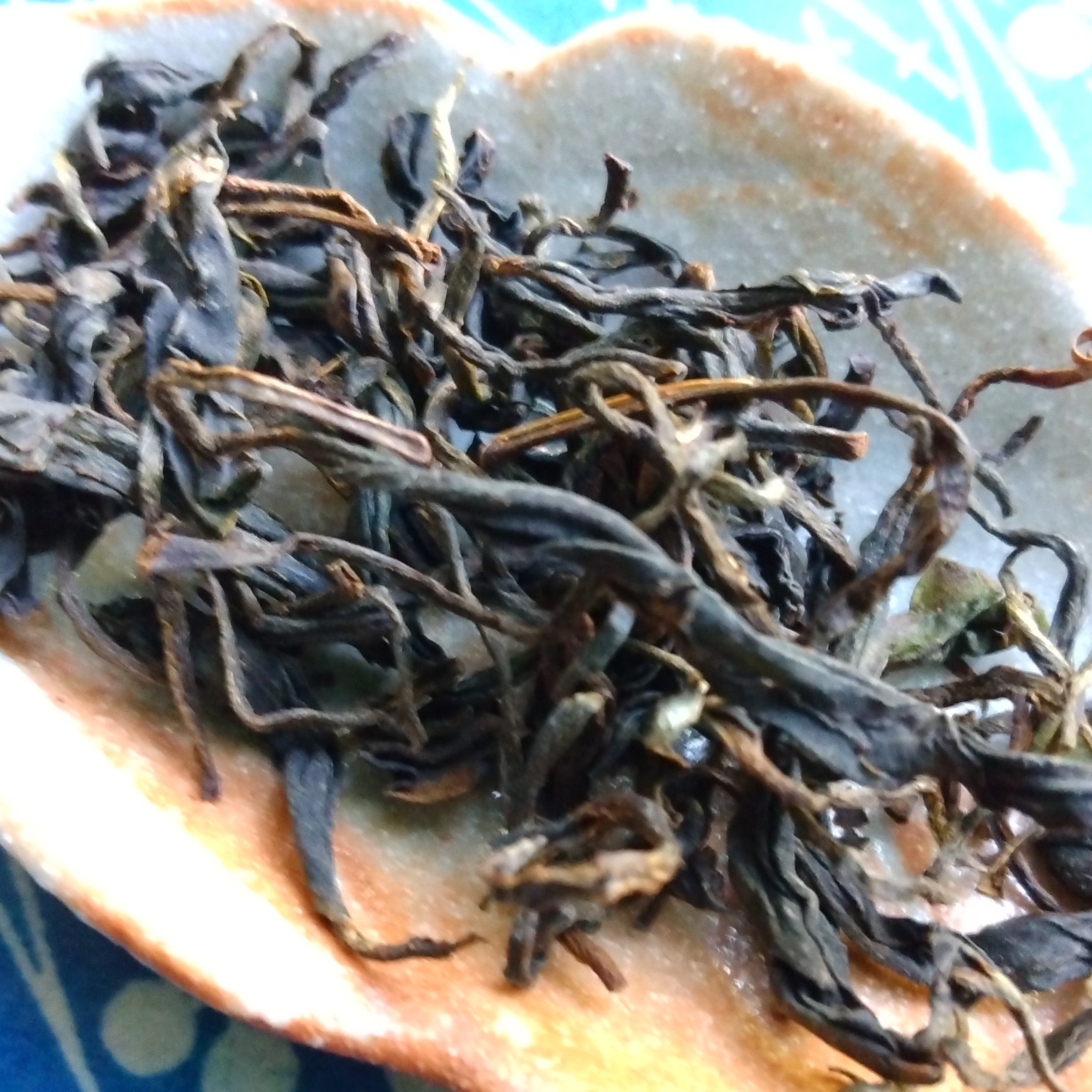 SASHIMA.KOSHUN.WAKOUCHA.2025.LEAF