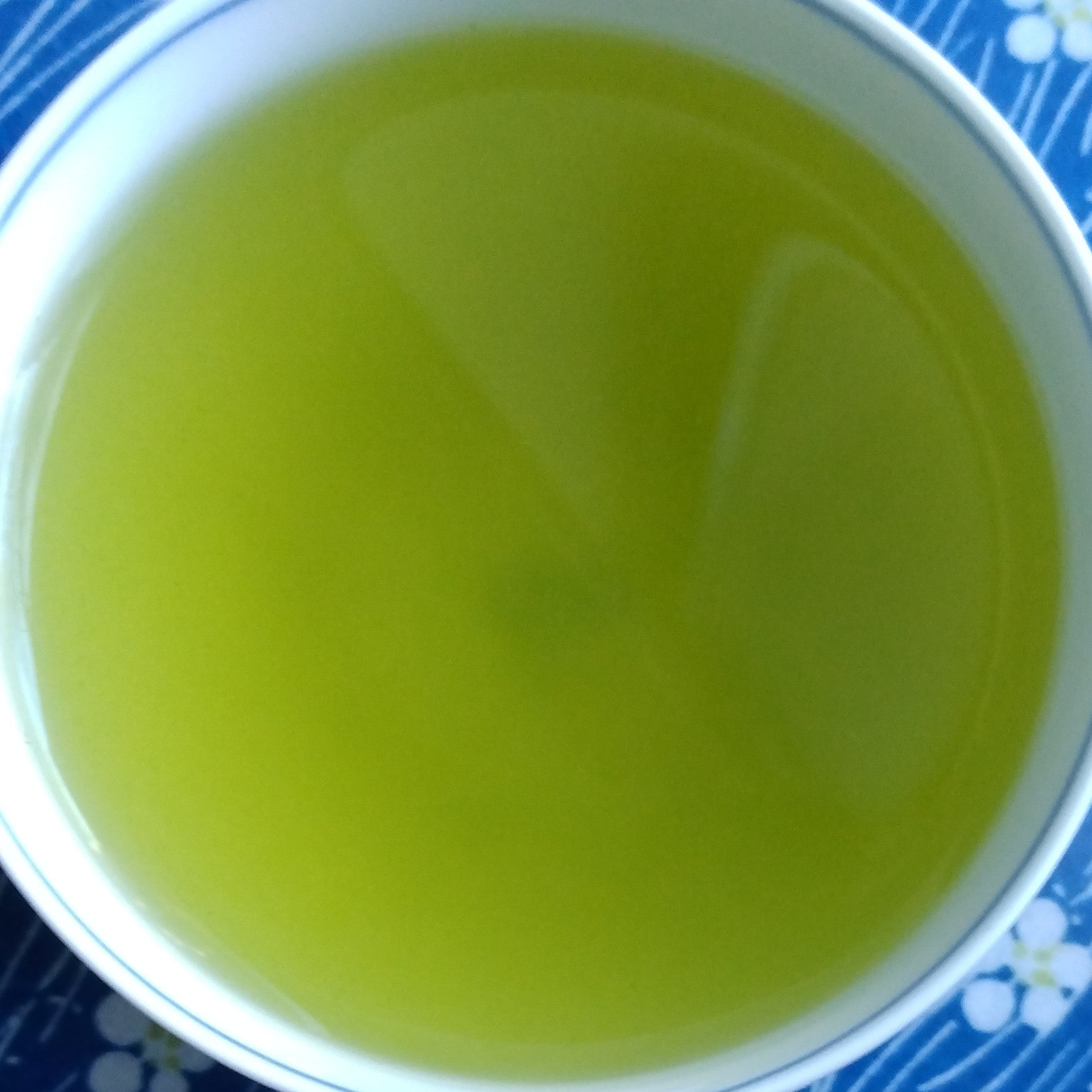 SASHIMA.ZAIRAI.2ND INFUSION