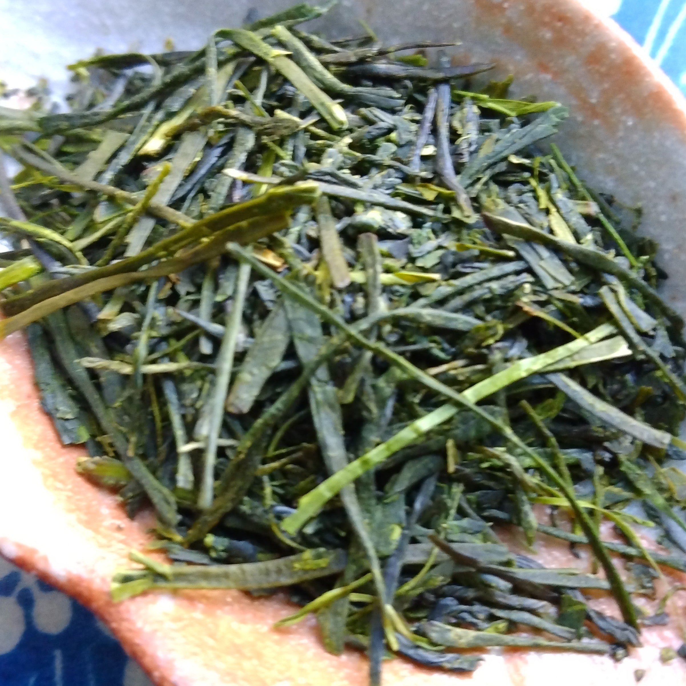 NEW Sashima-cha (Teas from western Ibaraki Prefecture) Combo Pack, 3 x 50g; Nagano-en Tea Farm, Sakai-machi, Ibaraki, 50g. 2025 SHINCHA