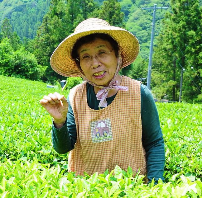 Charaku Fine Japanese Tea 2025 Nakaisamurai Naturally Grown Shincha (1st Harvest) Variety Gift Box, 4 x 30g