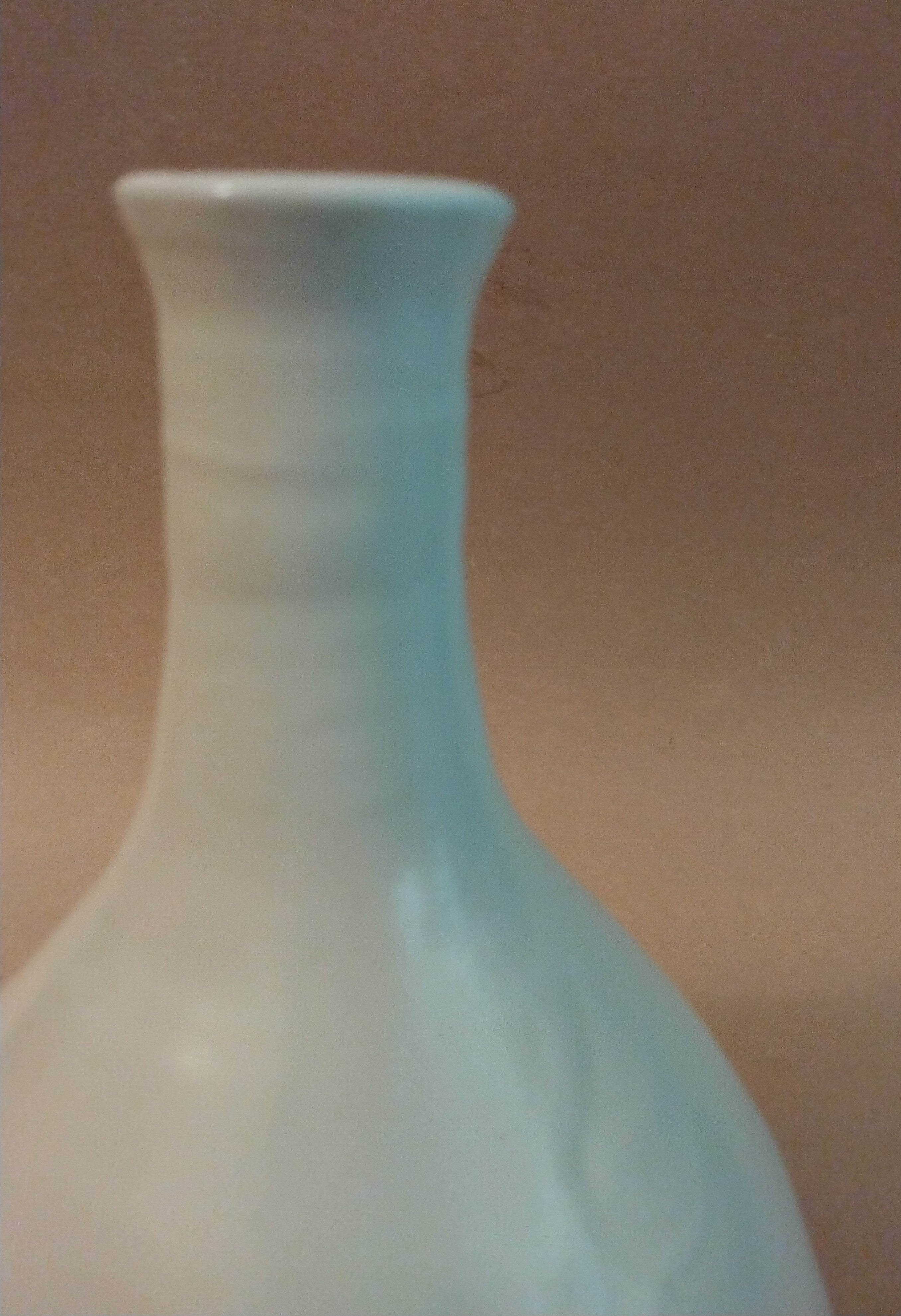20% donated to Maui Wildfire Relief - Long-neck Vase by Sachiko Furuya