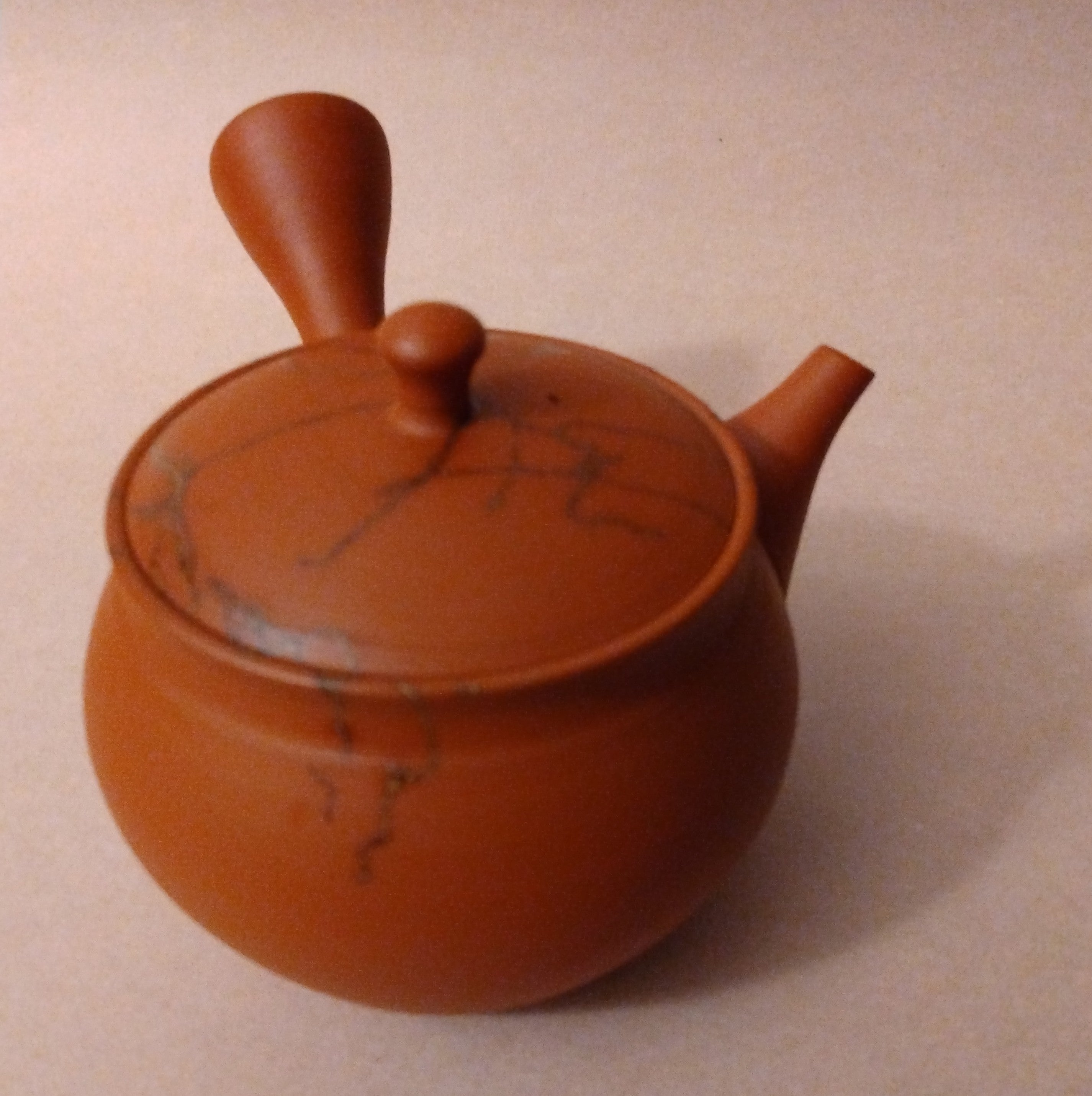 Shudei (Red Clay) Tokoname Mogake Kyusu (Side-handle Tea Pot) by Gyokkou Kiln, 270cc / 9.1oz.