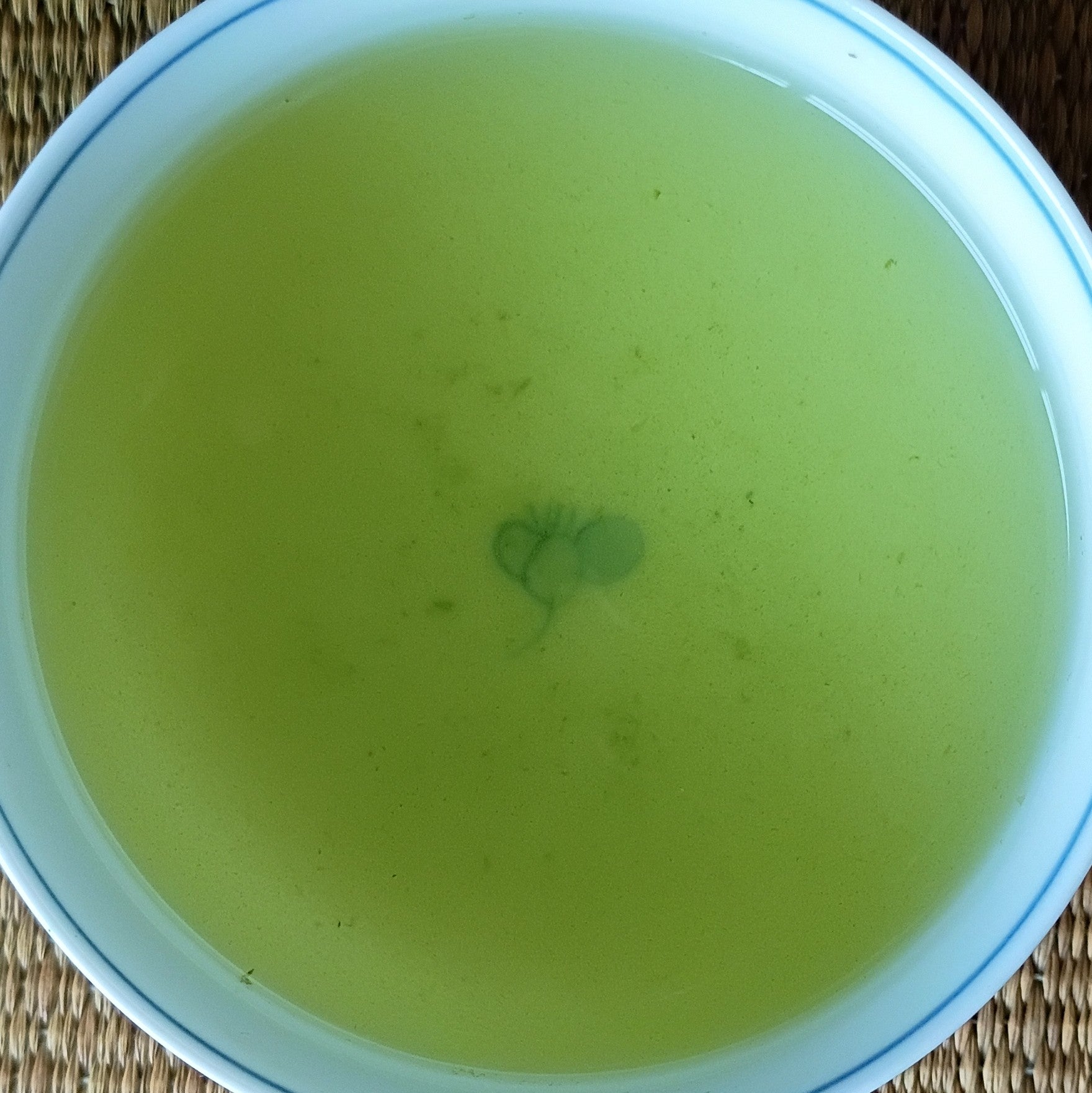 KUMAMOTO EARTHQUAKE RELIEF DONATION NEW 2026 SHINCHA Seimei Kabuse Guricha; Mashiki, Kumamoto Prefecture, 50g. Naturally grown.