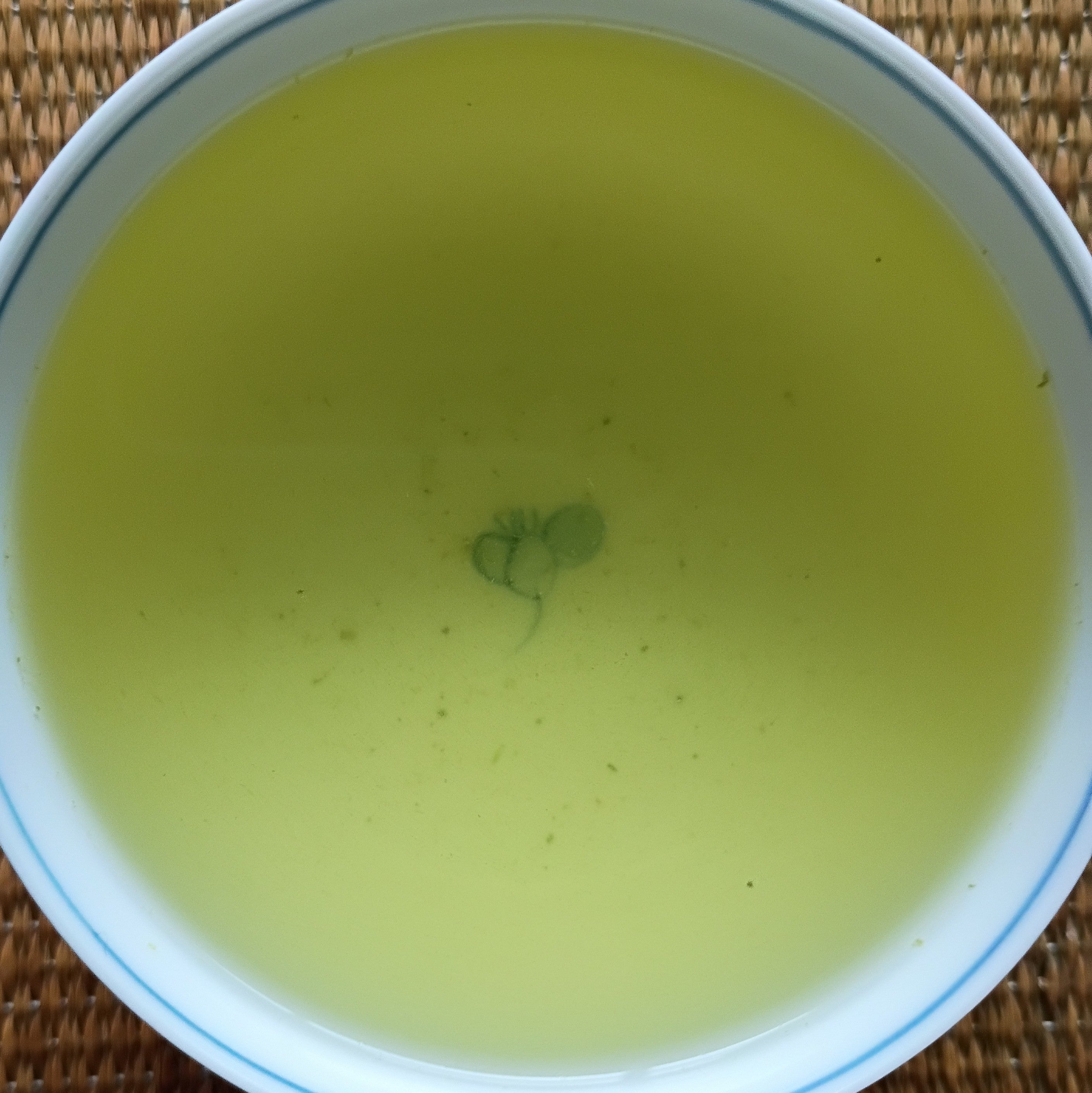 2026 SHINCHA - Tosa-cha Sencha; Nyugauchi, Kochi Prefecture, Shikoku. 50g. Naturally Grown.