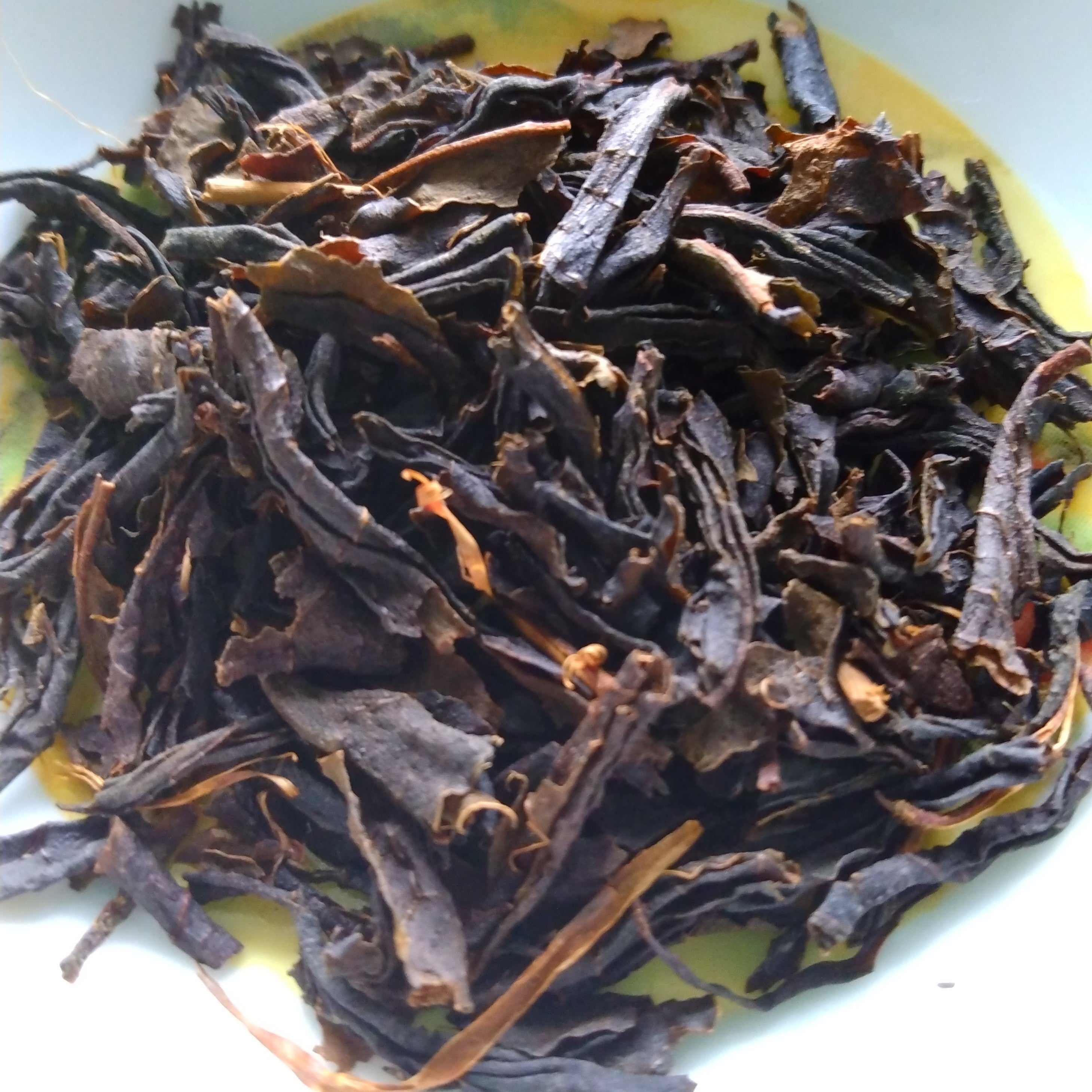 NEW - Tosa WaKoucha (Japanese Black Tea from Kochi Prefecture), Nyugauchi, Kochi, 50g. Naturally Grown. - 2024 1st Harvest