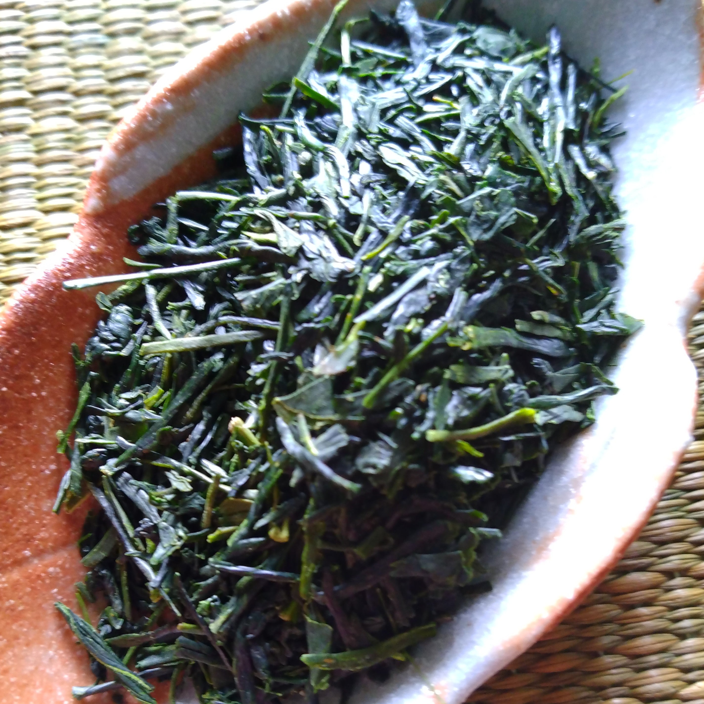 YABUKITA-SAEMIDORI.SOU.LEAF
