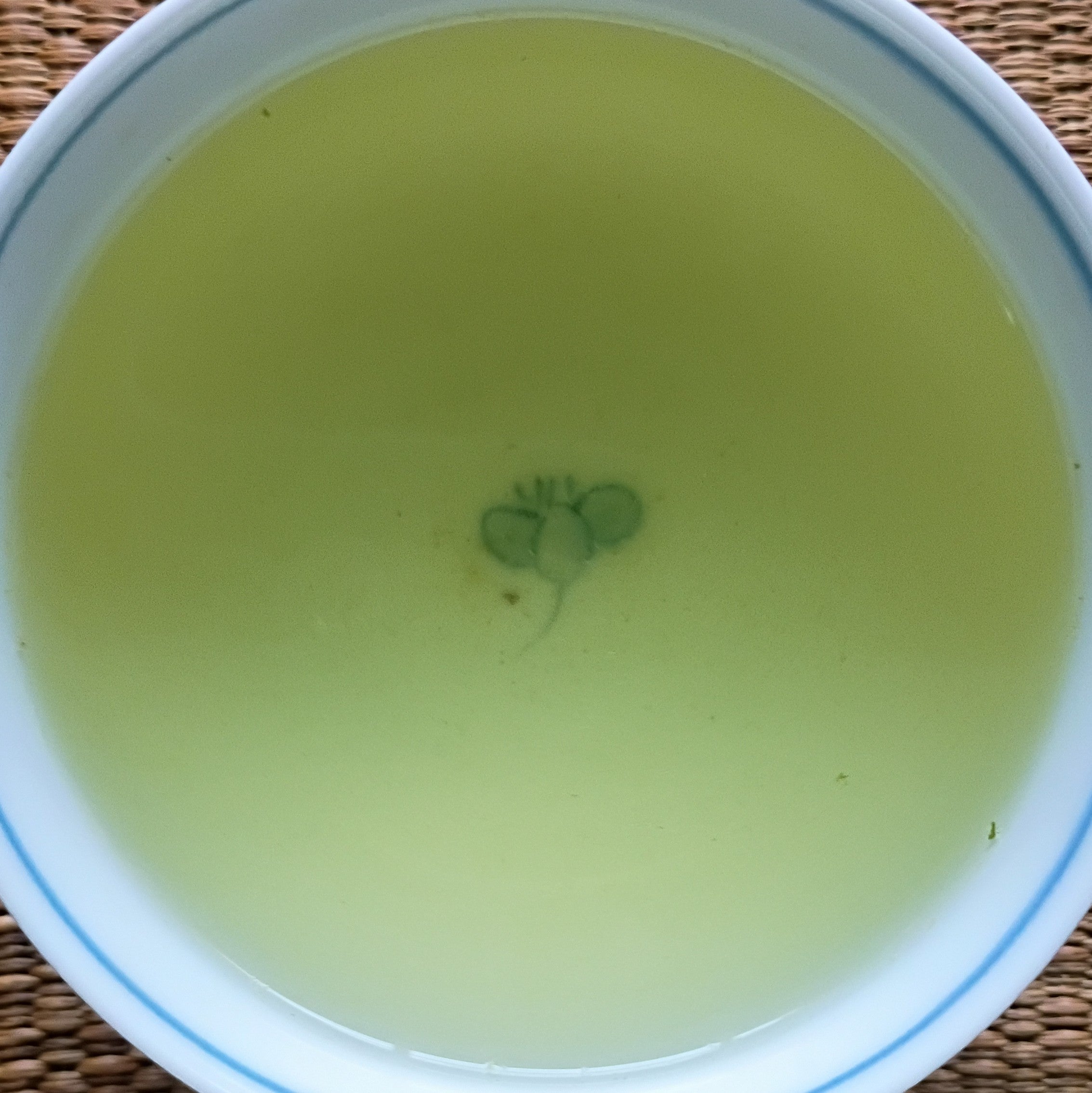 YACHIYO 2ND INFUSION